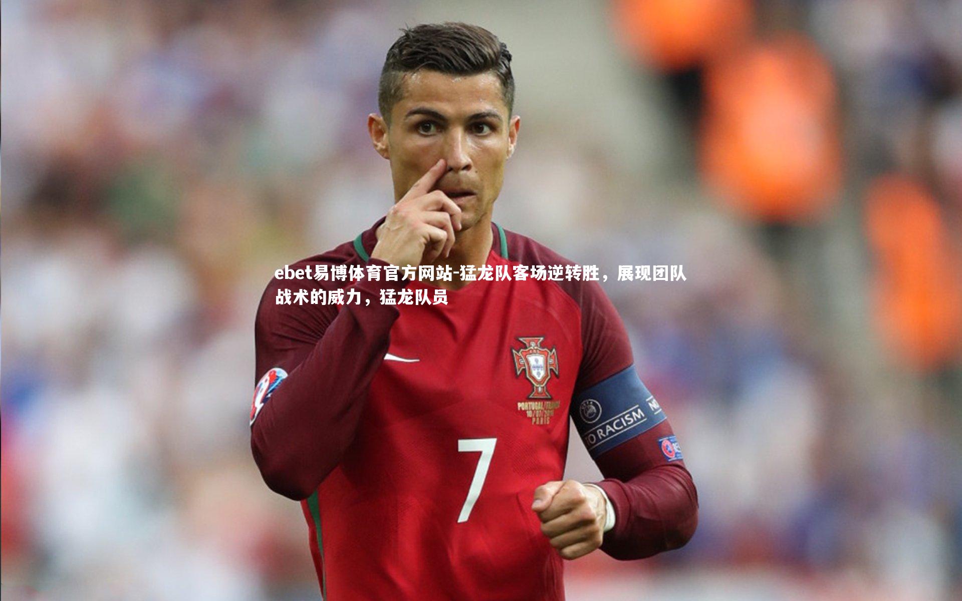 猛龙队客场逆转胜，展现团队战术的威力，猛龙队员