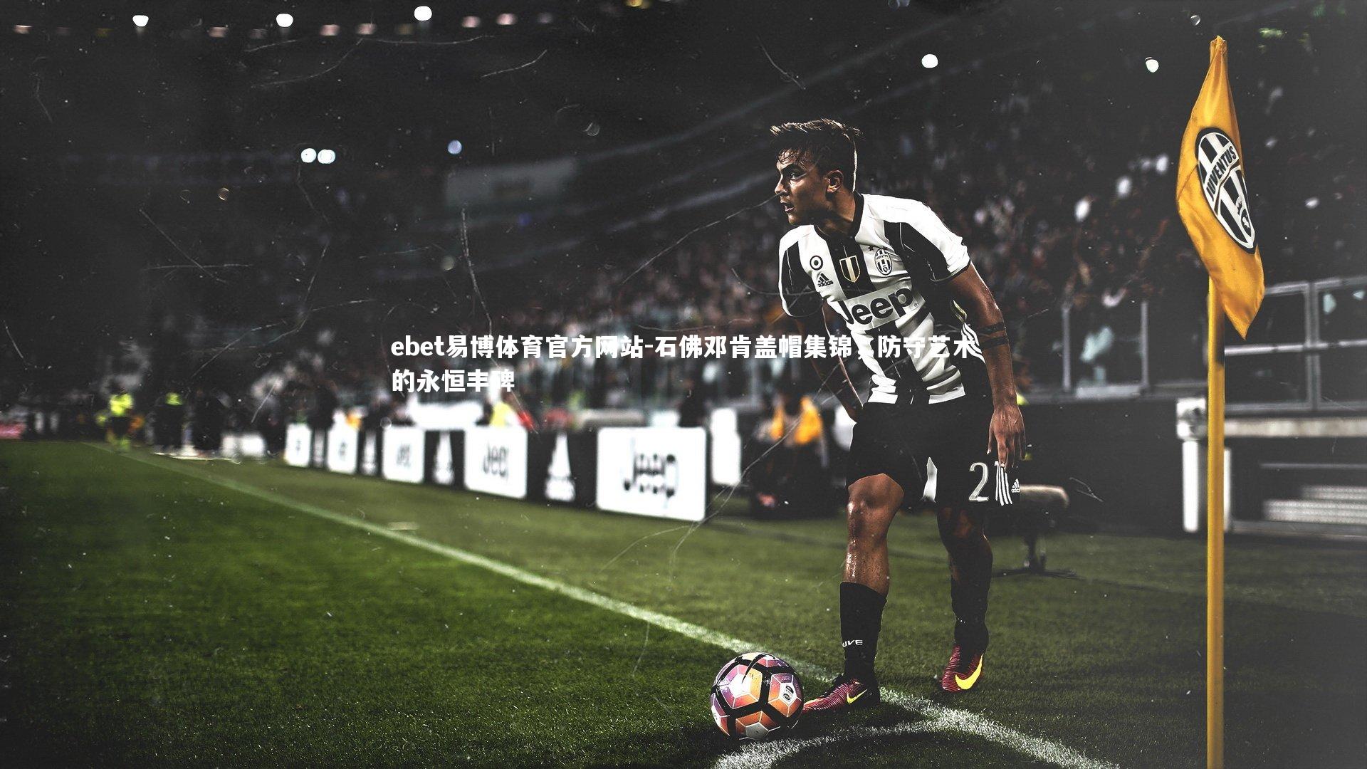 石佛邓肯盖帽集锦,防守艺术的永恒丰碑